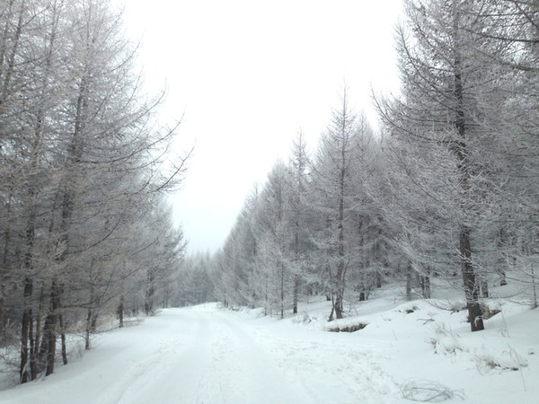 冬季到草原天路去看雪