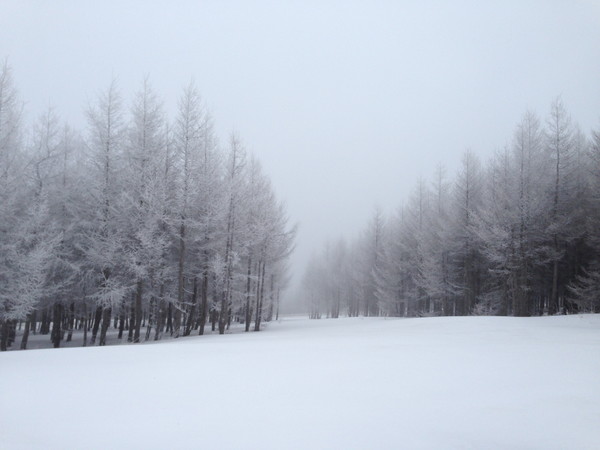 冬季到草原天路去看雪