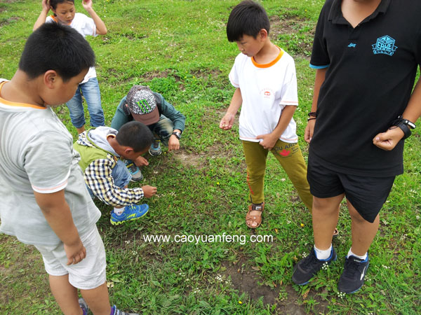 幸福源泉好孩子快乐营 坝上草原夏令营