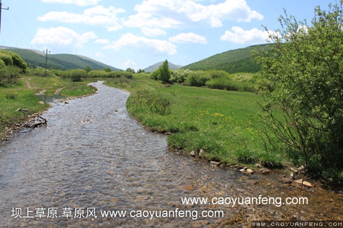 坝上柳树沟风景