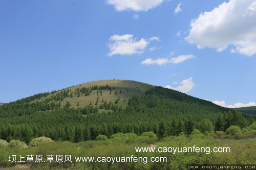 坝上柳树沟风景