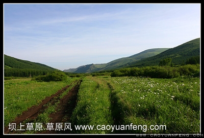 柳树沟