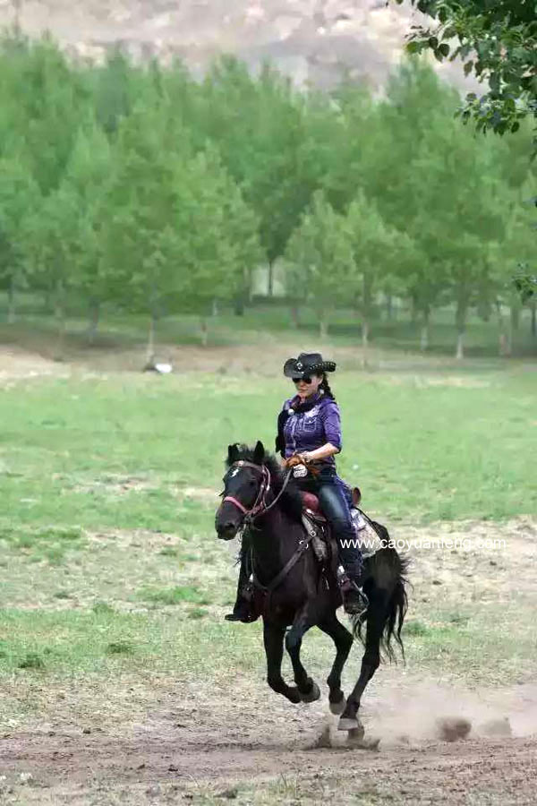 全国马友齐聚坝上骑马