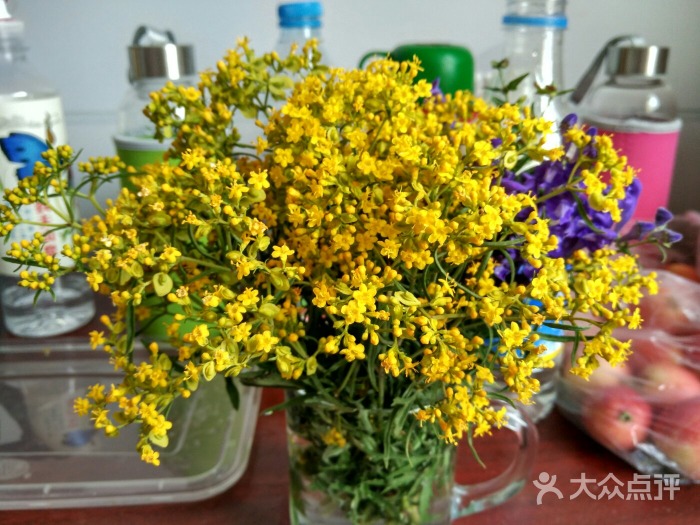 秋天蘑菇丰宁坝上行