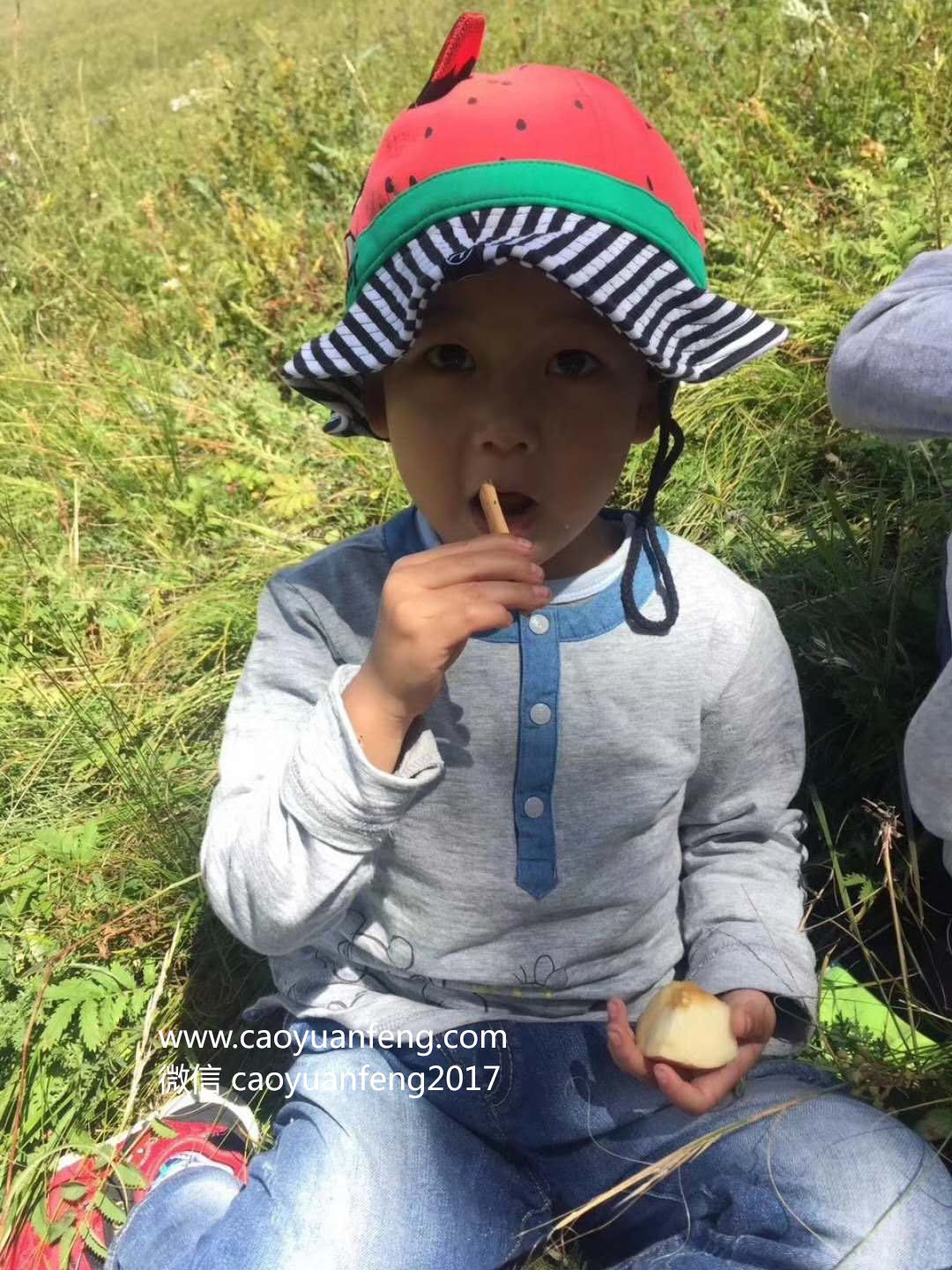 蘑兔教育小小朋友草原夏令营