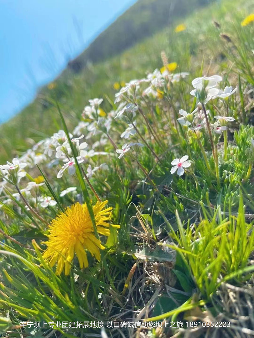 华为公司5月丰宁坝上团建3日游 