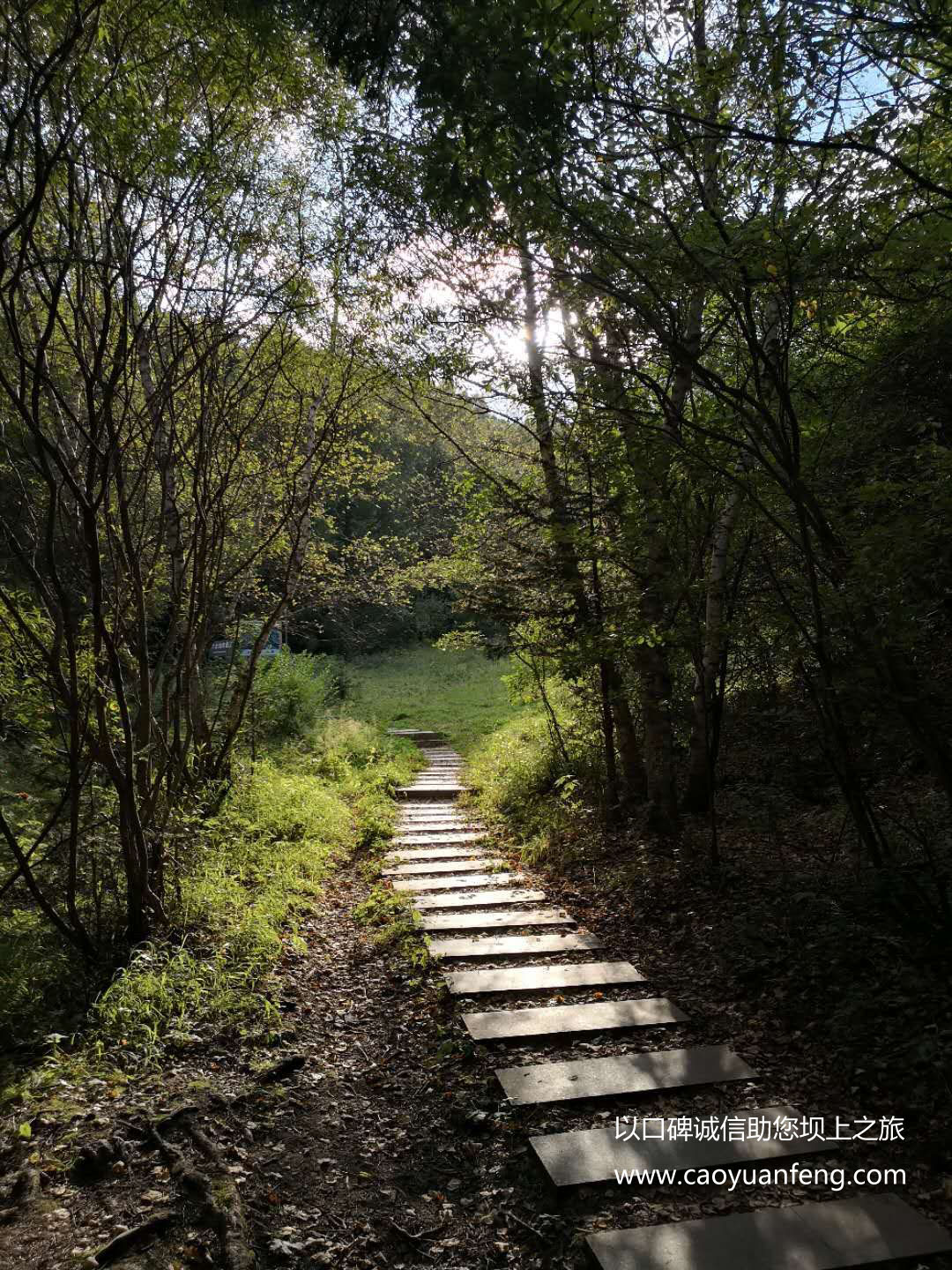 百里天路 京北第一天路 千松坝森林公园