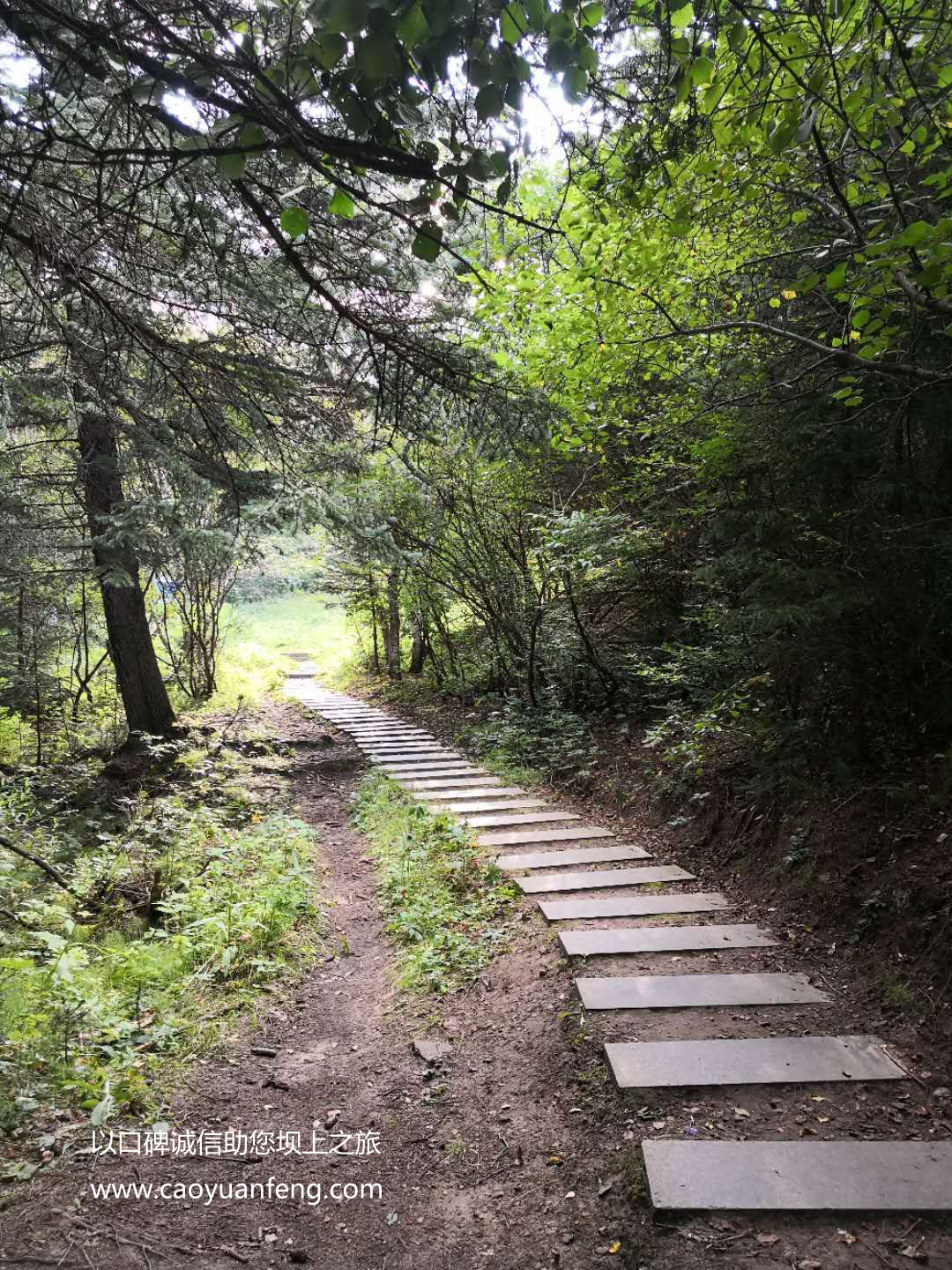 百里天路 京北第一天路 千松坝森林公园