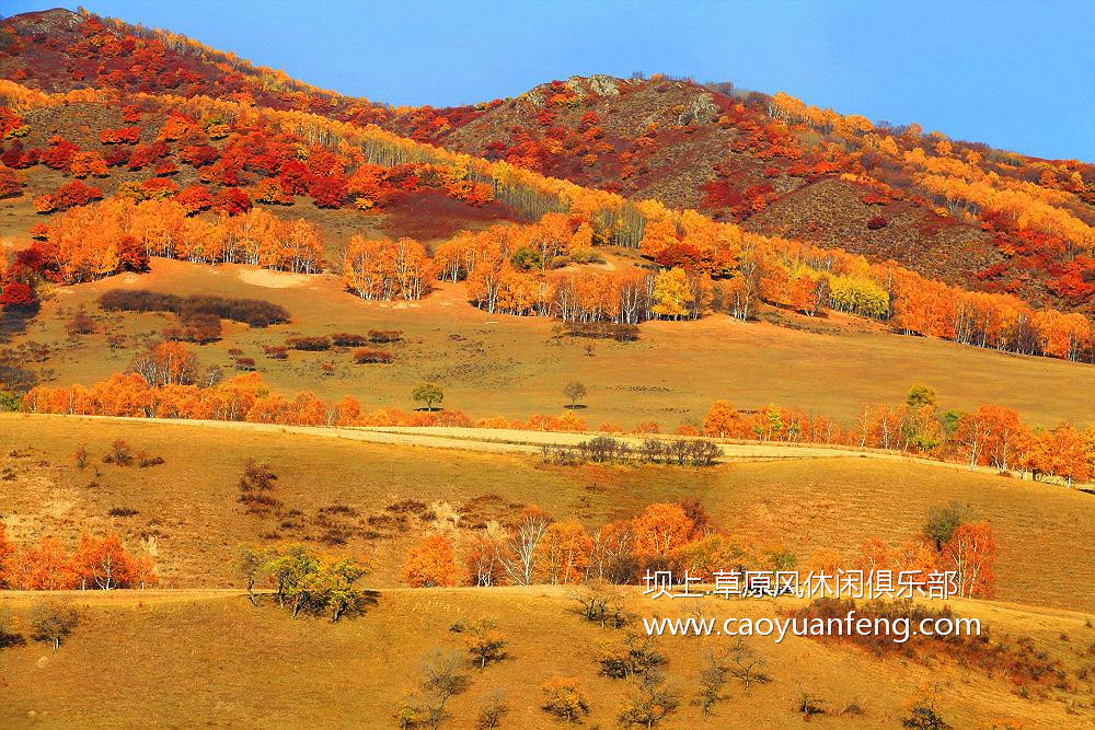 坝上风光美景之秋季摄影