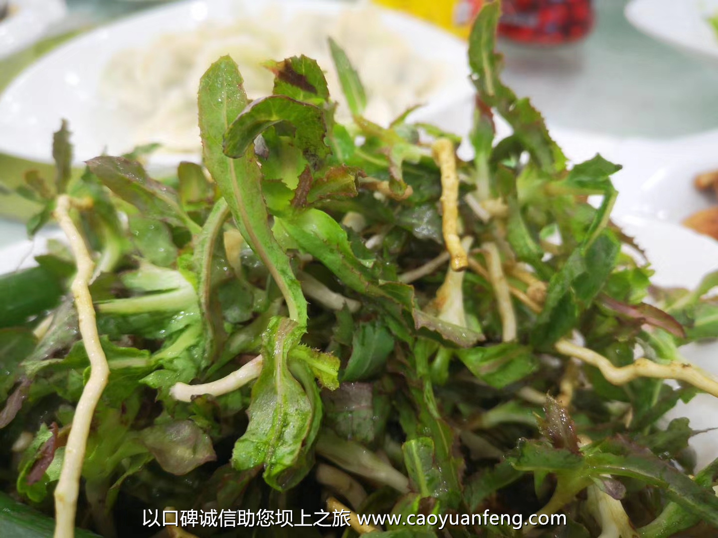 坝上蘑菇 山野菜 金莲花 带黄 黄花菜