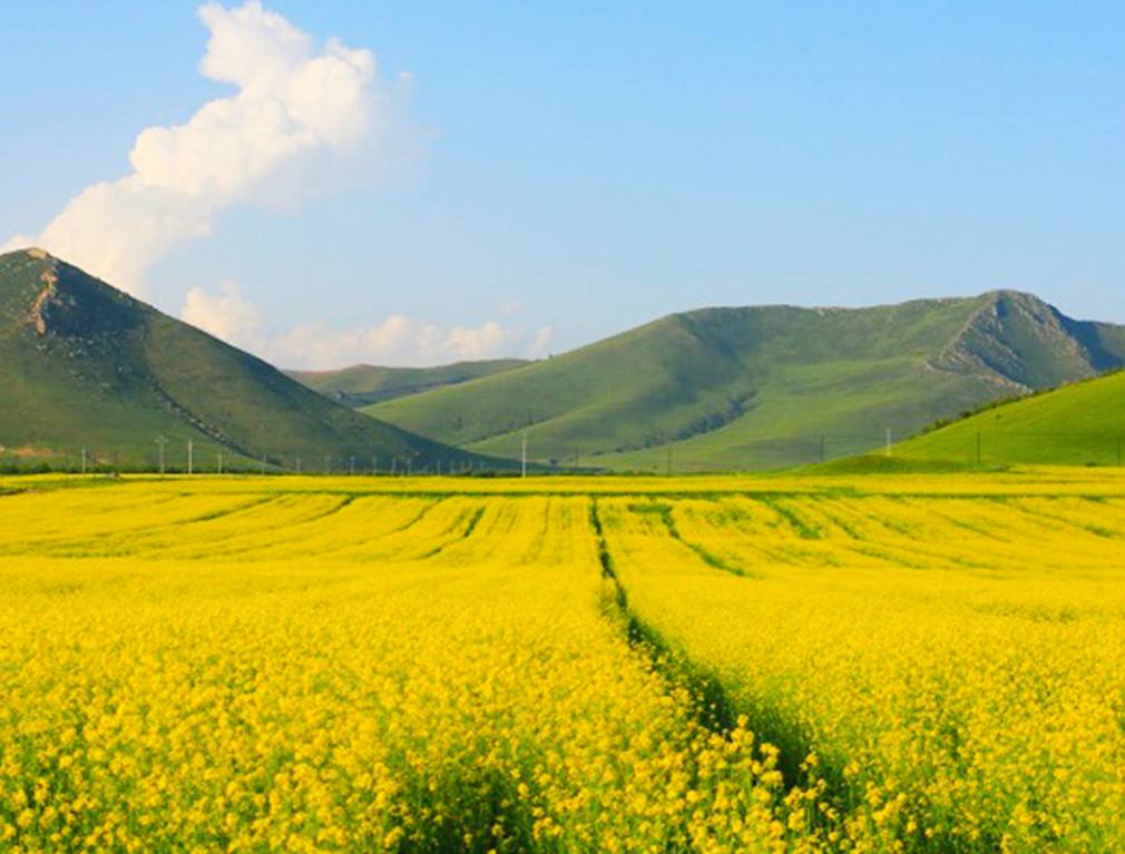 神仙谷七彩森林风景