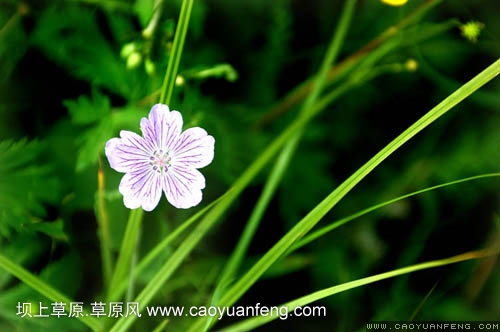 唐山到丰宁坝上草原自驾游路书(北京的也可以用)