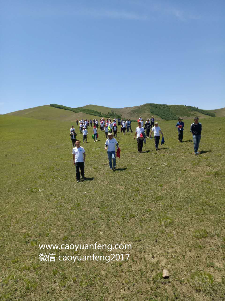 坝上草原公司徒步团建拓展训练两日游