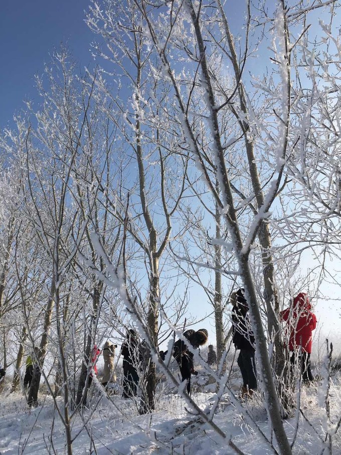 冰雪天路行 草原天路旅游攻略