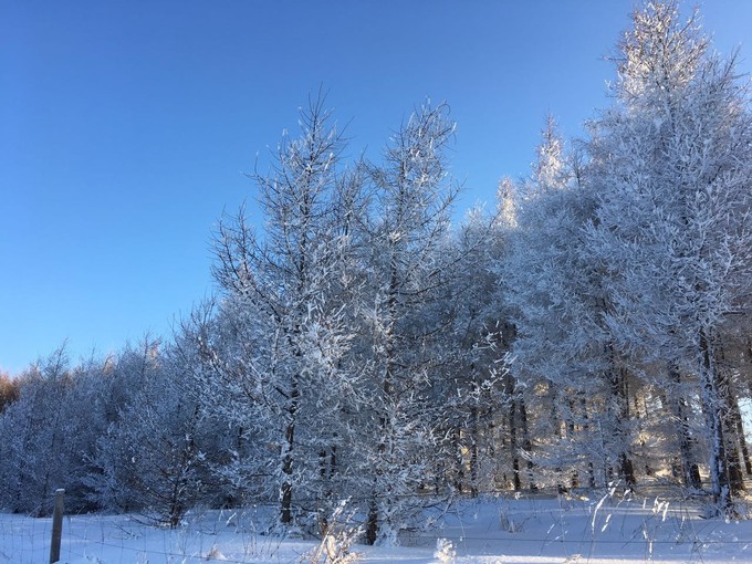 冰雪天路行 草原天路旅游攻略