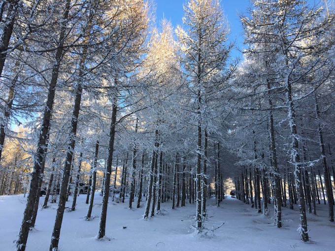 冰雪天路行 草原天路旅游攻略