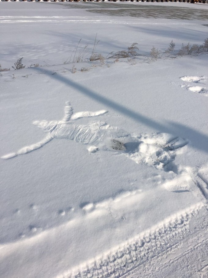 冰雪天路行 草原天路旅游攻略