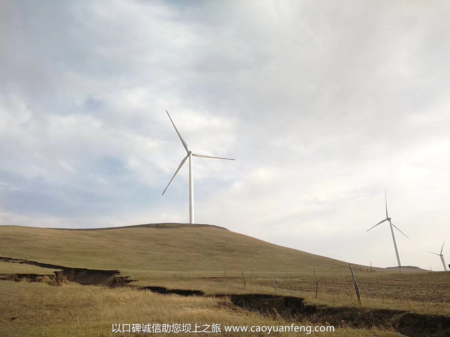 五一坝上草原照片,坝上草原草绿了吗,坝上草原自驾怎么样