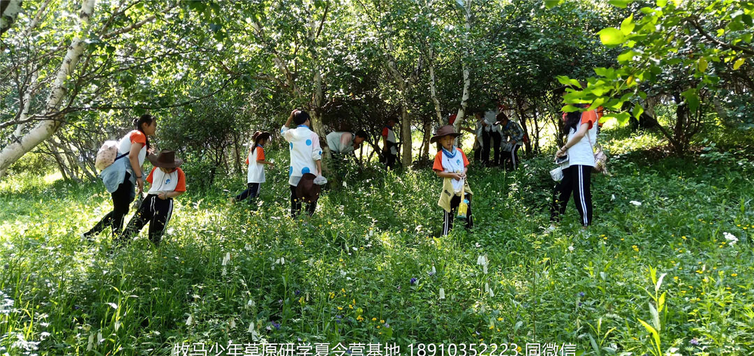 山东济南小海豚牧马少年草原夏令营