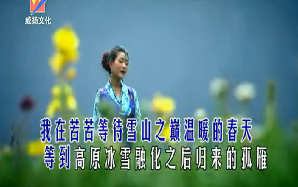 西海情歌 降央卓玛 高清MV MP3下载