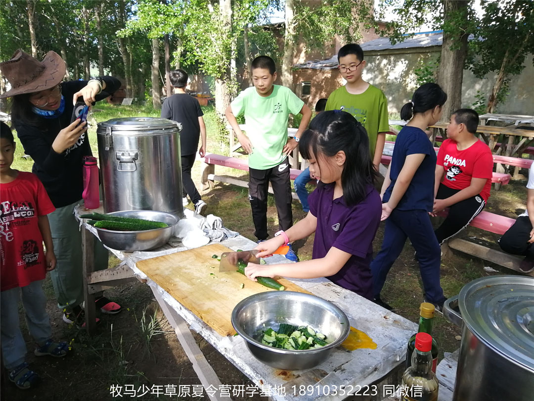 北京星腾少年坝上草原研学夏令营