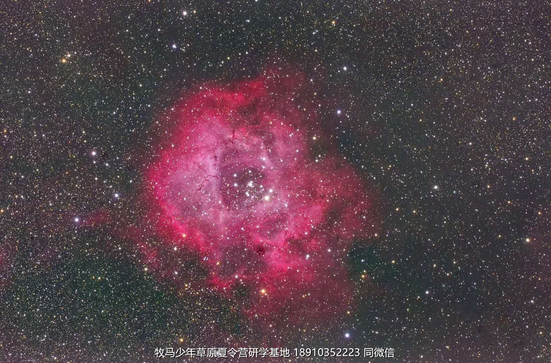 中关村二小星云社小小天文家草原冬令营