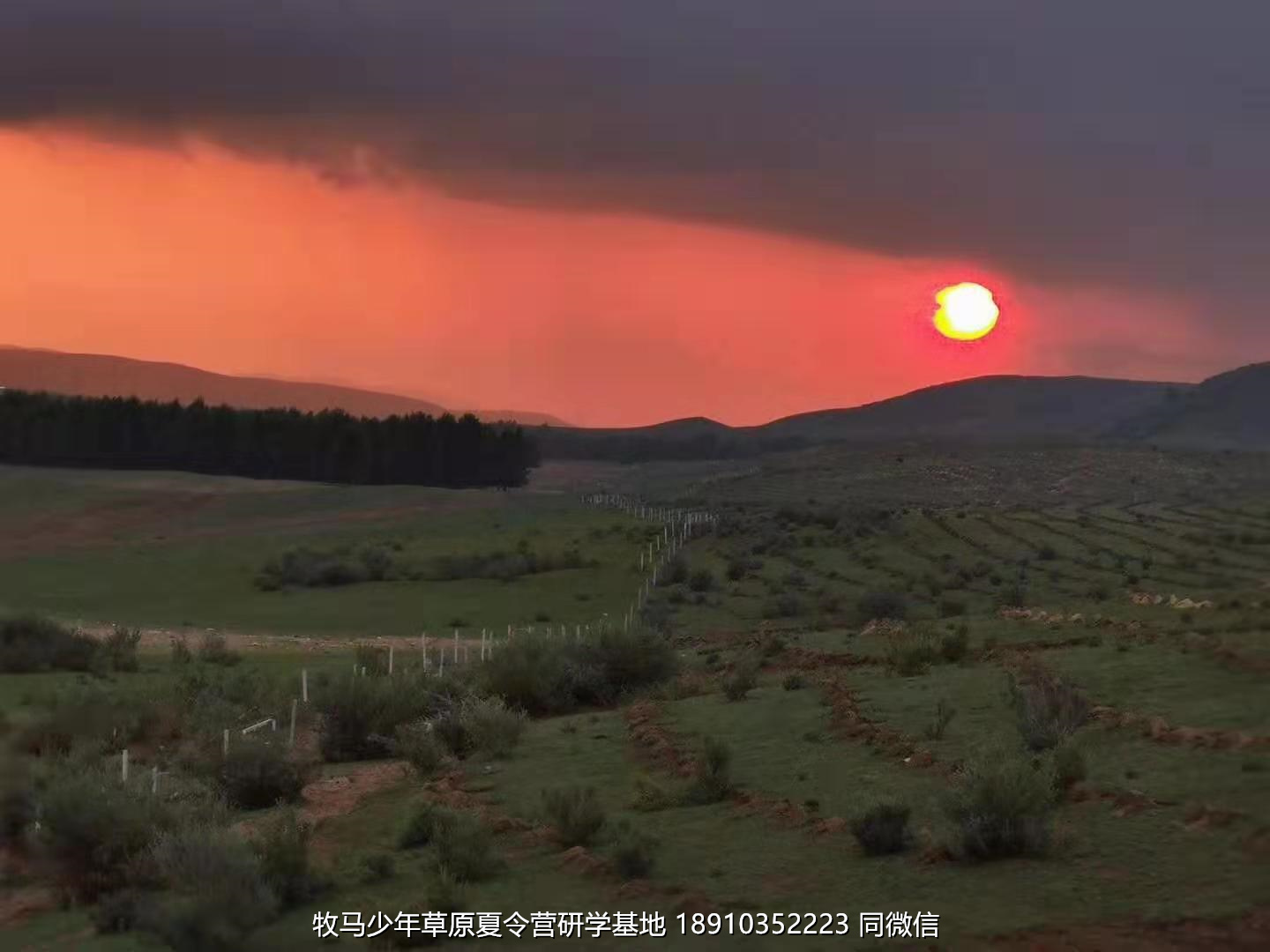 星云社小小天文家草原夏令营