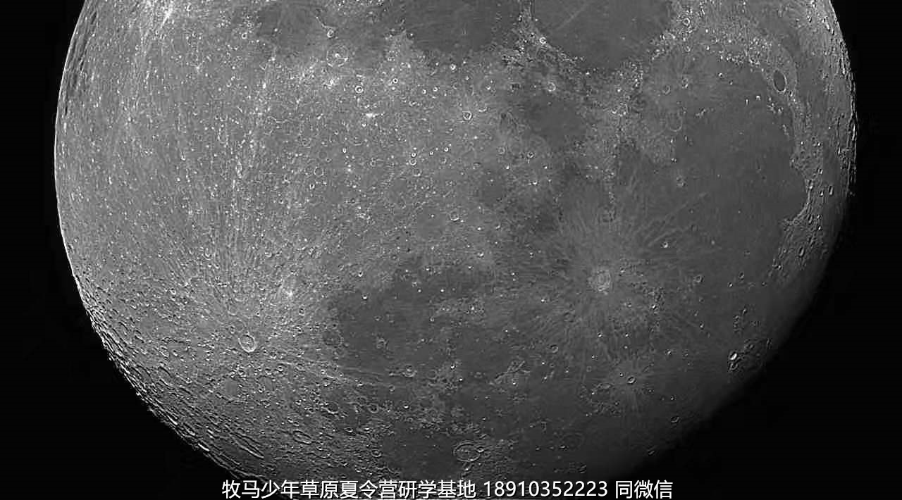 星云社小小天文家草原夏令营