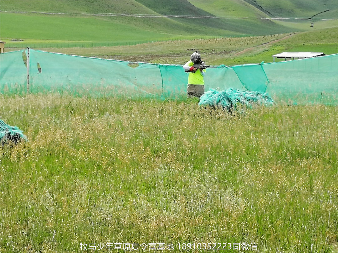 河南新启元成长营草原夏令营7天6晚坝上行