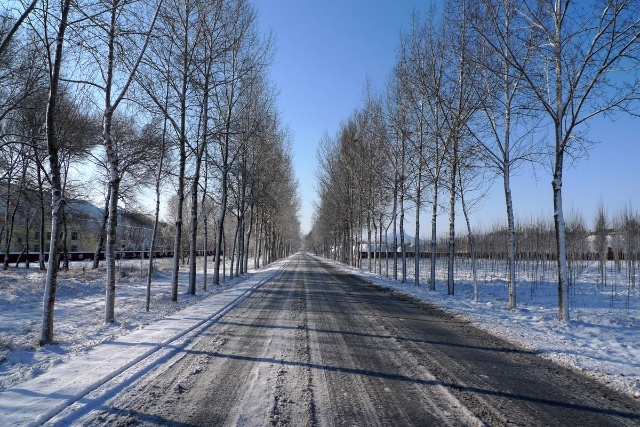 丰宁坝上赏雪景 飘雪坝上风光摄影