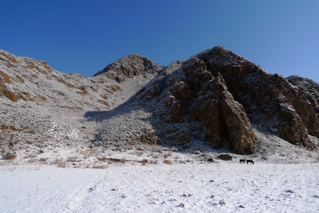 丰宁坝上赏雪景 飘雪坝上风光摄影