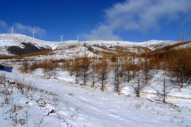 丰宁坝上赏雪景 飘雪坝上风光摄影