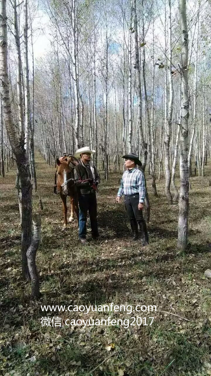 友情岁月 丰宁坝上 多伦 锡林浩特四天穿越活动