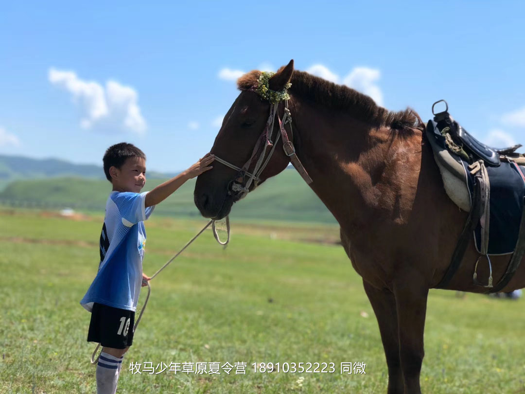 北京俱乐部坝上草原足球夏令营