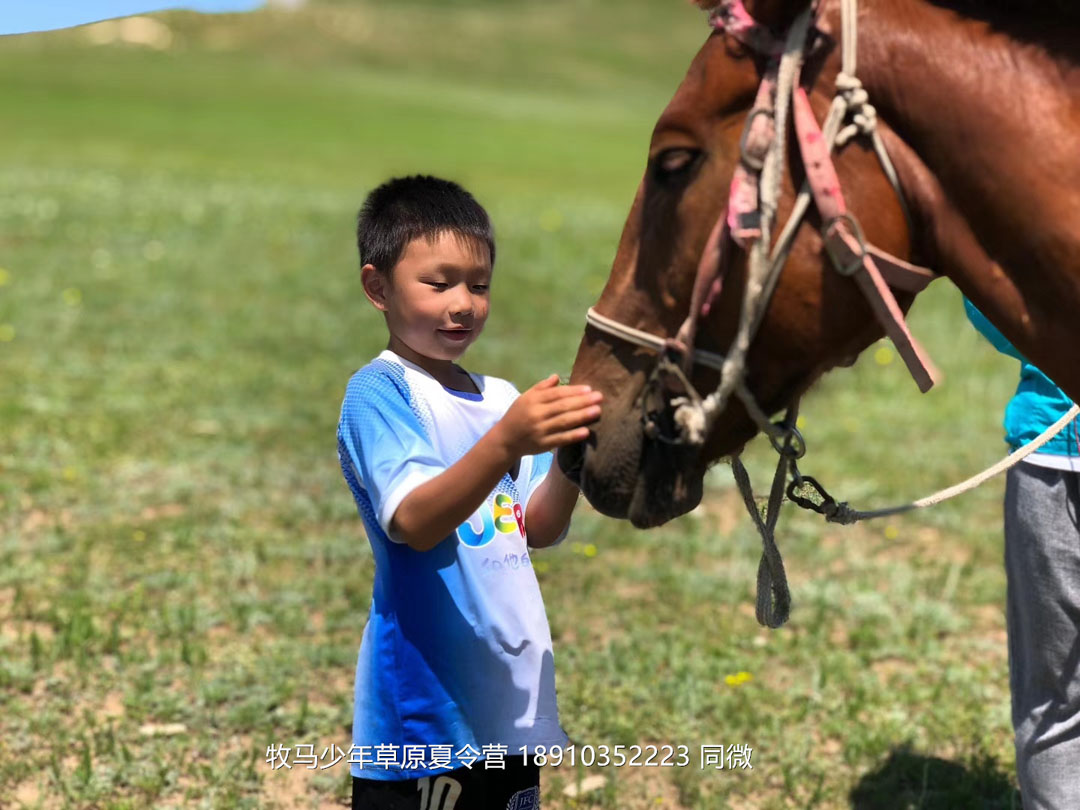 北京俱乐部坝上草原足球夏令营