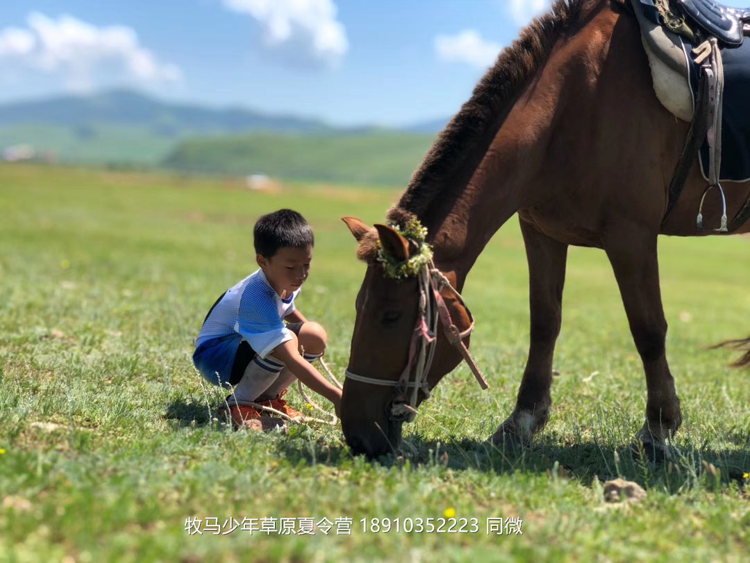 北京俱乐部坝上草原足球夏令营