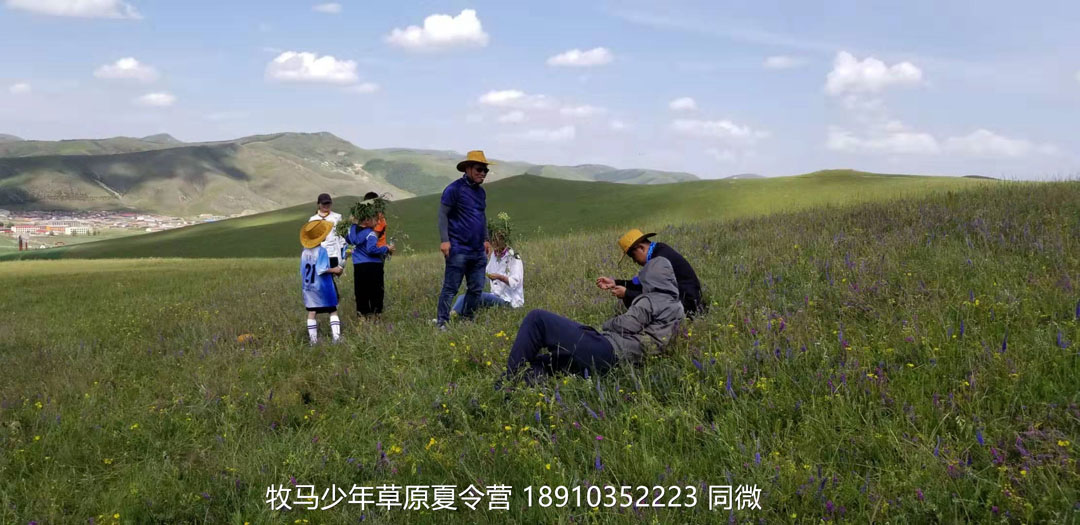 北京俱乐部坝上草原足球夏令营