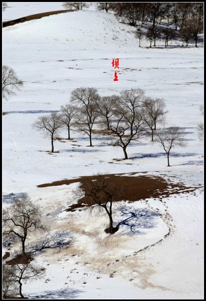 丰宁坝上自助游图片