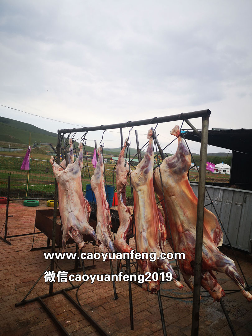 坝上烤全羊,坝上最具特色美食,烤全羊及制作方法