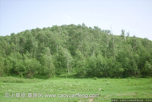 情人谷（门票：无）